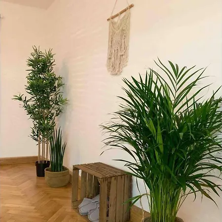 Boutique Rise-up • Center • Historical • Modern * Salzburgo